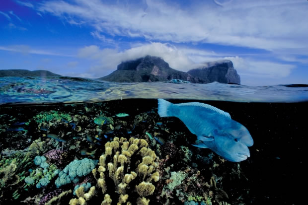 24 Vue sur l'île Lord Howe (Australie, 2004)