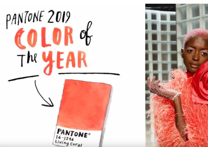 PANTONE 2019 - Living Corail 2