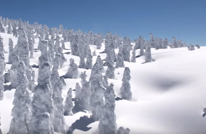 Découvrir l'hiver au Japon en 8K 1