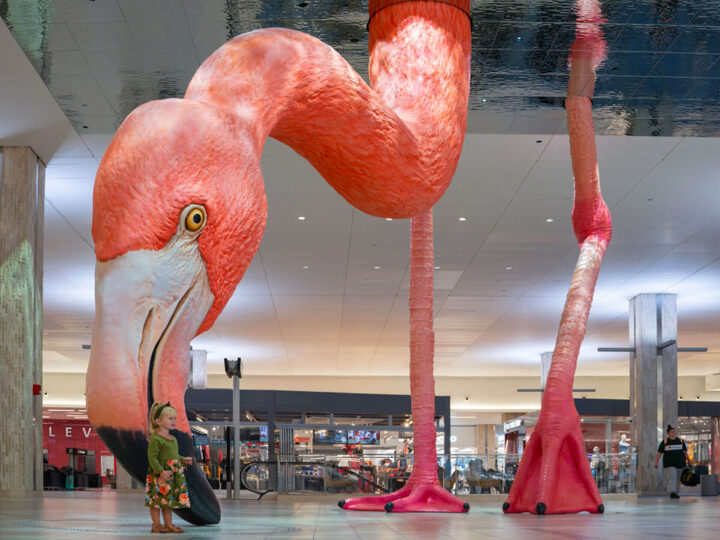 Street Art : Installation Flamingo Époustouflante par Matthew Mazzotta 10